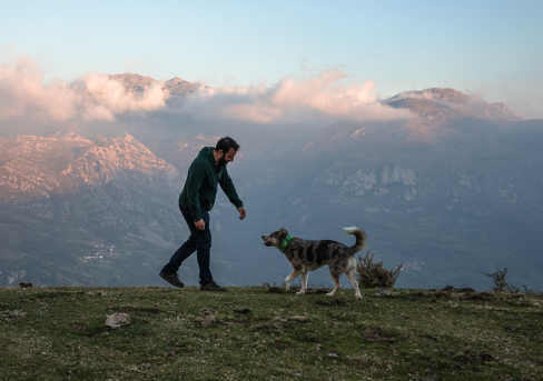 Dites bonjour aux chiens de Smartling