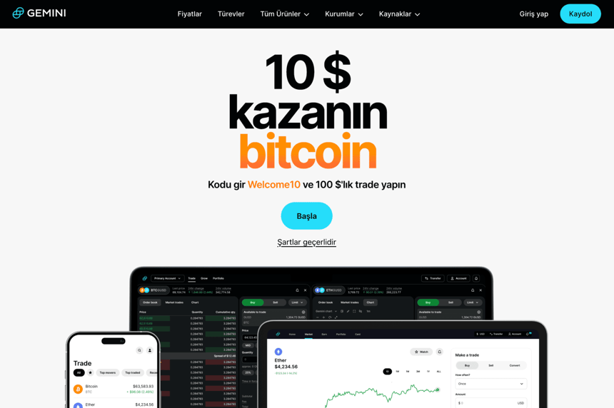 Gemini vertaalde website